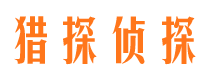 丰满市场调查